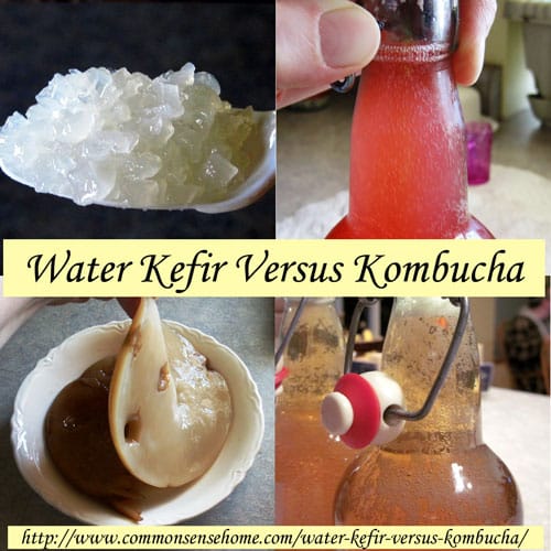 Water Kefir Versus Kombucha @ Common Sense Homesteading Water Kefir Versus Kombucha @ Common Sense Homesteading