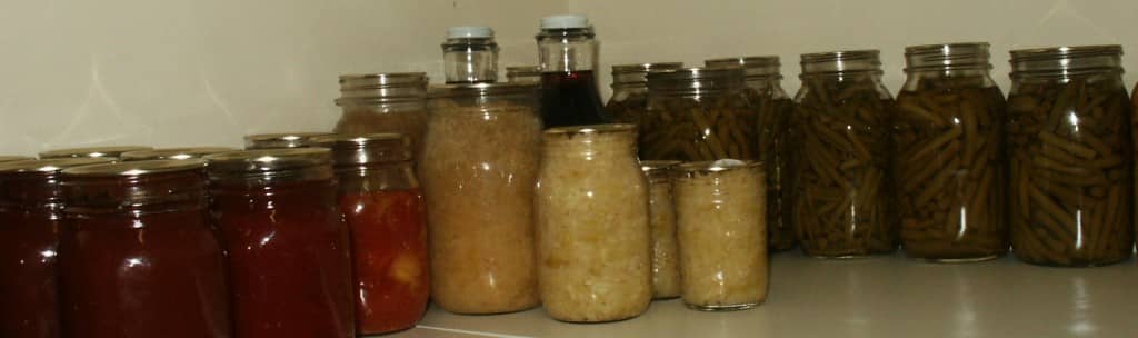 Food Storage without Electricity @ Common Sense Homesteading