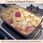 Creamy scalloped potatoes @ Common Sense Homesteading