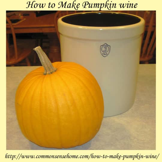 How to Make Pumpkin Wine A Unique Pumpkin Recipe
