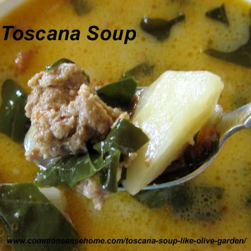 Soup recipes