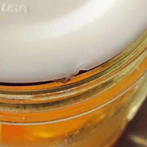 Damaged Tattler Lid