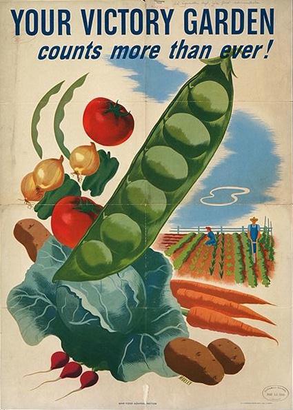 Tips for Beginning Gardeners @ Common Sense Homesteading Tips for Beginning Gardeners @ Common Sense Homesteading
