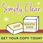 Click Here to Purchase "SImply Clean" e-book