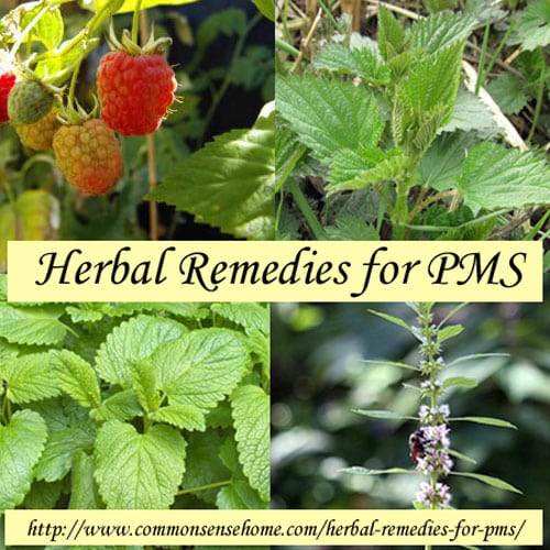 Herbal Remedies for PMS @ Common Sense Homsteading Herbal Remedies for PMS @ Common Sense Homsteading