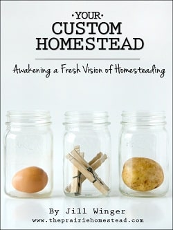You Custom Homestead