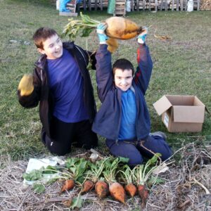 Sugar Beet Bigger Than Your Head Sugar Beet Bigger Than Your Head @ Common Sense Homesteading