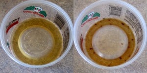 fruit fly trap @ Common Sense Homesteading fruit fly trap @ Common Sense Homesteading