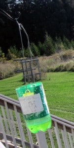 yellowjacket trap @ Common Sense Homesteading homemade yellowjacket trap
