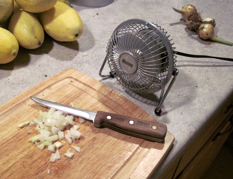 Don't Cry over Cut Onions - Use a Fan @ Common Sense Homesteading Don't Cry over Cut Onions - Use a Fan @ Common Sense Homesteading
