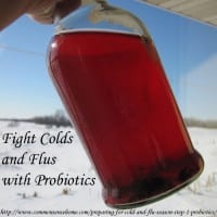 Best Cold and Flu Fighters + Home Remedies for Coughs and Congestion
