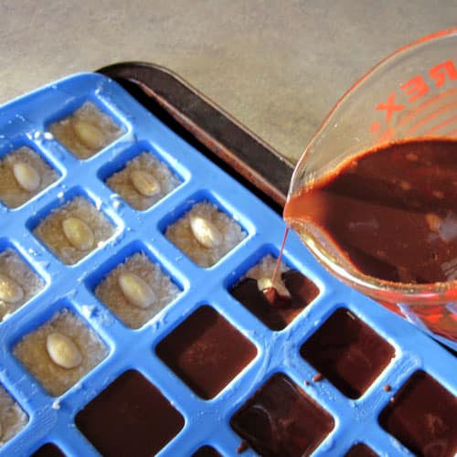 Homemade Mounds Bars and Almond Joy Bars @ Common Sense Homesteading