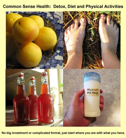 Common Sense Health e-book Common Sense Health e-book
