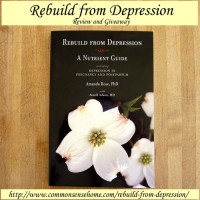 Rebuild from Depression - Review