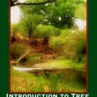 Herbal Library on a Budget