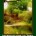 Herbal Library on a Budget