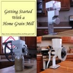 Getting Started With a Home Grain Mill