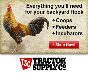 Tractor Supply Chicken Supplies