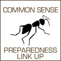 Common Sense Preparedness