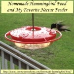 Homemade Hummingbird Food and My Favorite Nectar Feeder