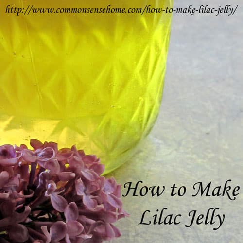 How to Make Lilac Jelly SelfSufficiency Before It's News