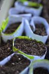 Repurposed Planters for your Herb Garden