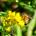 Getting Started Beekeeping - Iron Oak Farm’s First Hive