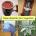Home Remedies for Congestion